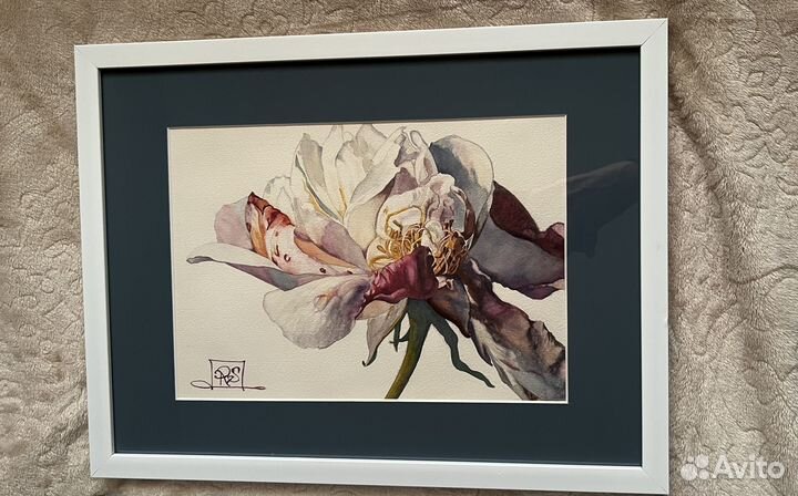 Картина пион акварель