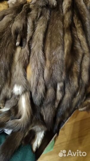 Шкурки выделанные соболь 109 штук