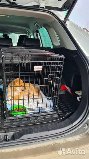 Клетки для собак с поддонами (Новые)