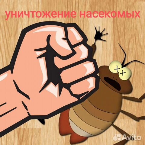Уничтожение насекомых. Дезинфекция и дезинсекция