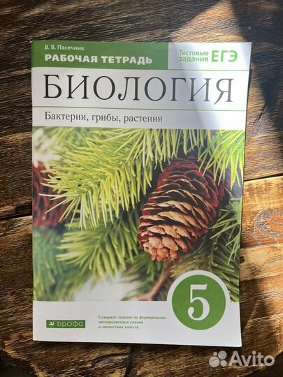 Новые рабочие тетради 5 класс