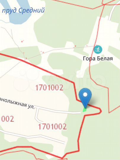 Участок 17,5 сот. (ИЖС)