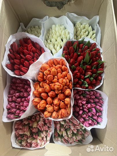 Тюльпаны к 8 марта букеты