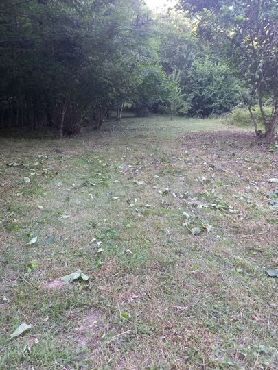 Участок 5,2 сот. (СНТ, ДНП)