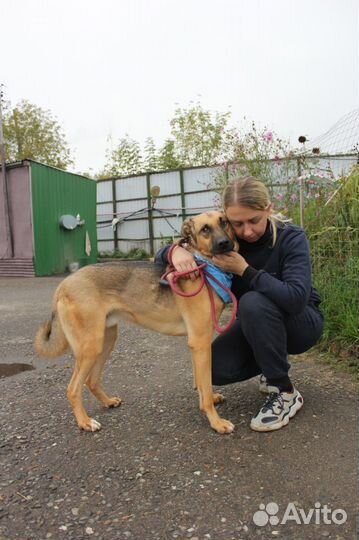 Каждый день борьба за жизнь