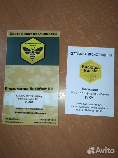 Бакфаст, Карника матки F1