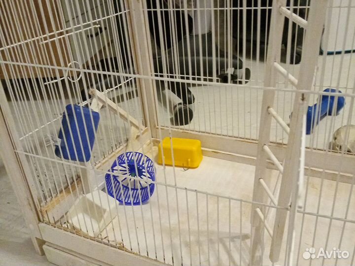 Клетка для попугая бу