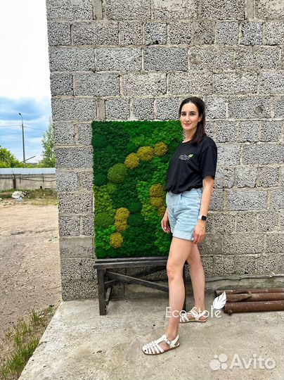 Панно микс стабилизирвоанного мха с желтым