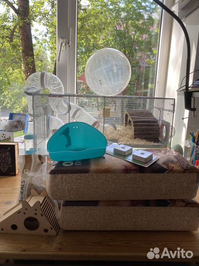 Хомяк джунгарский с клеткой