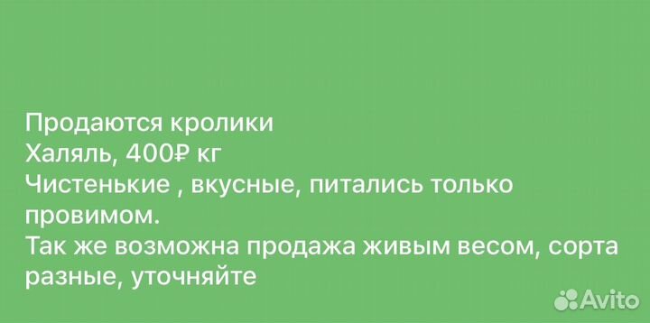 Кролики