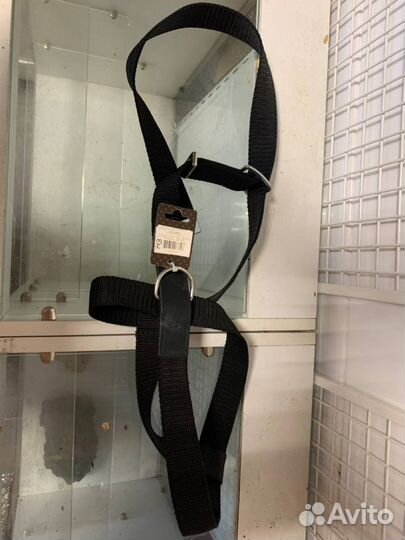 Ошейники и поводки для собак