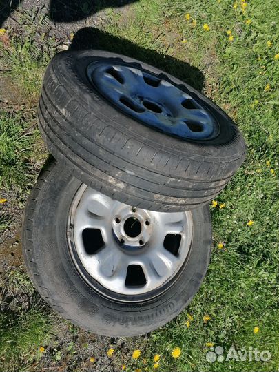 Continental ContiPremiumContact 5 205/60 R16 H