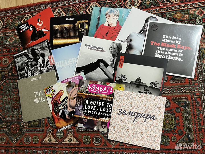 Виниловые пластинки современые