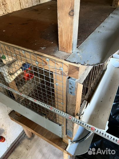 Клетки для бройлеров