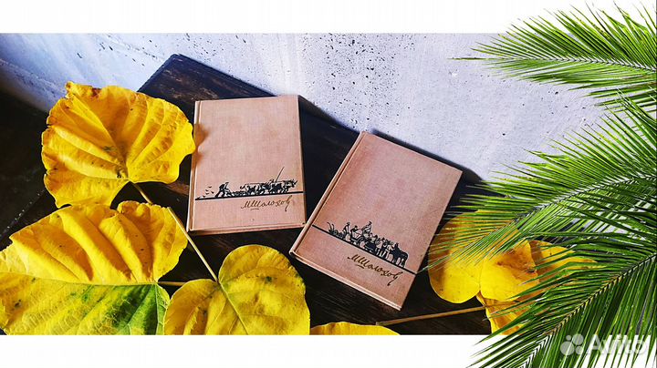 Шолохов Поднятая целина Роман в 2 томах 1972