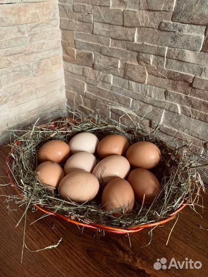 Домашние куриные яйца