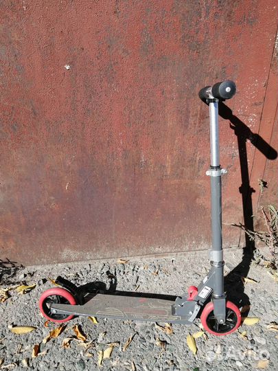 Самокат reaction