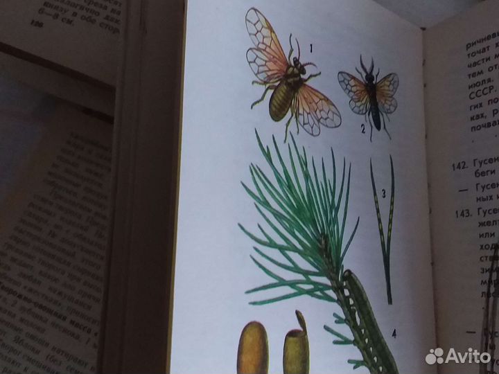 Познавательные книги