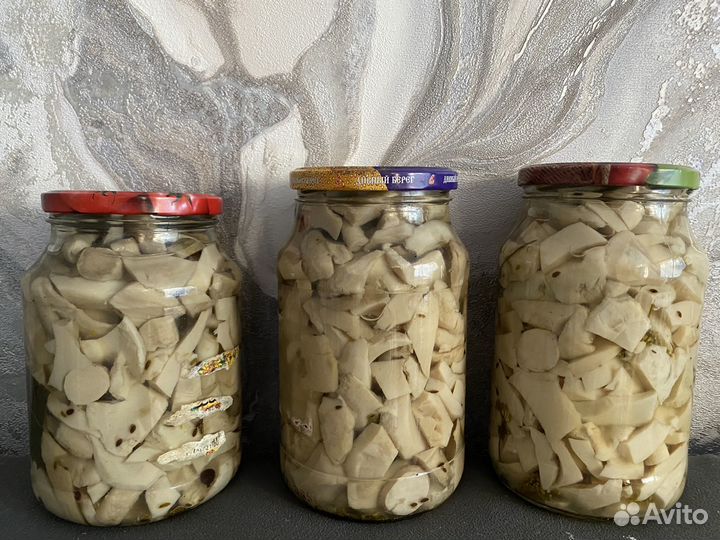 Грибы грузди