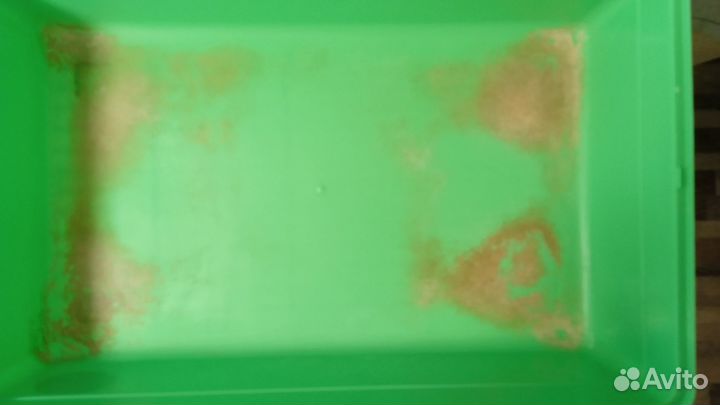 Клетка для морских свинок