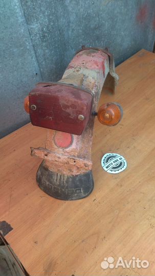 Крыло задние восход