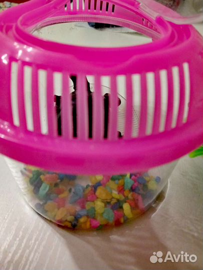 Переноска для рептилий