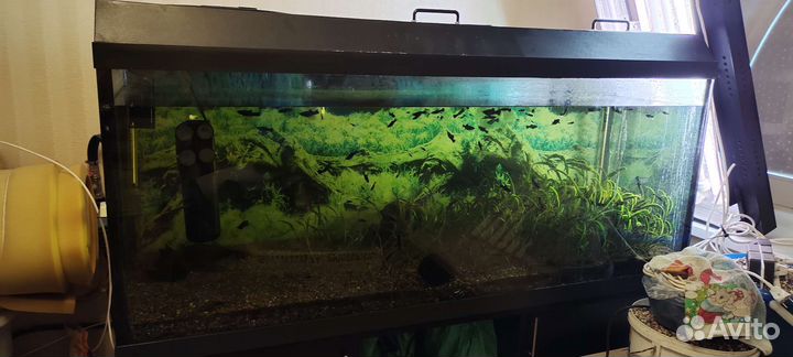 Аквариум
