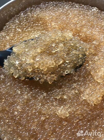 Свежая икра