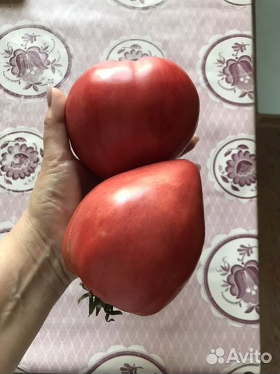 Помидоры свежие домашние