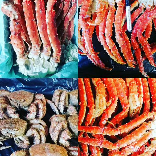 Краб Камчатка