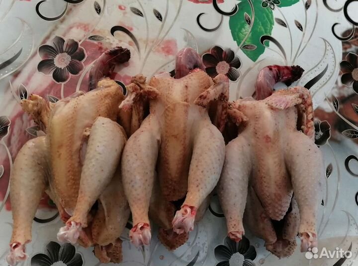 Мясо домашних петушков