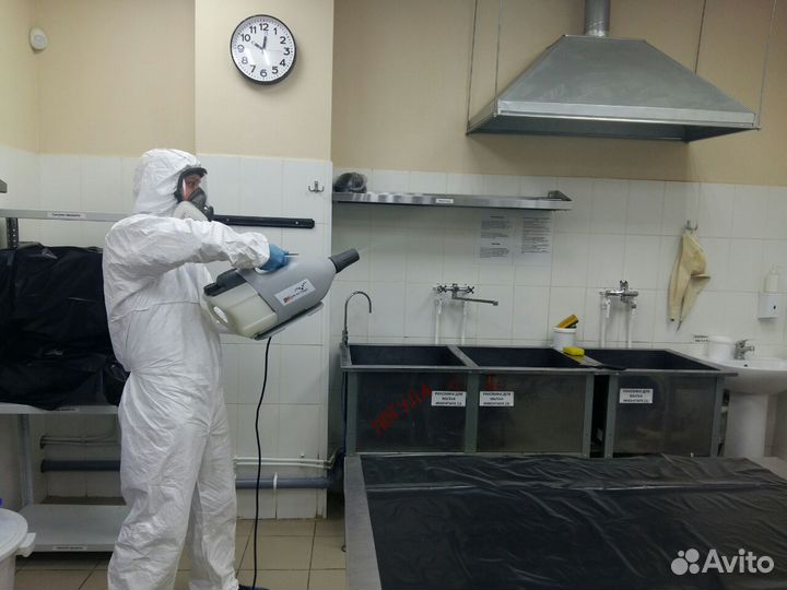 Сэс Уничтожение тараканов, крыс, клопов, насекомых