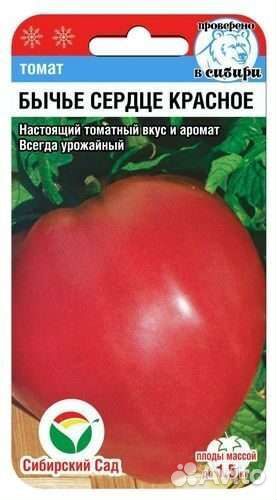 Рассада помидор