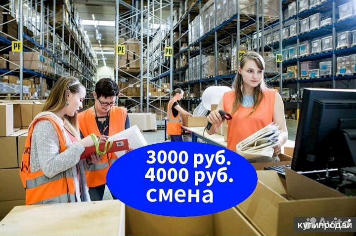 Вахта еженедельные выплаты