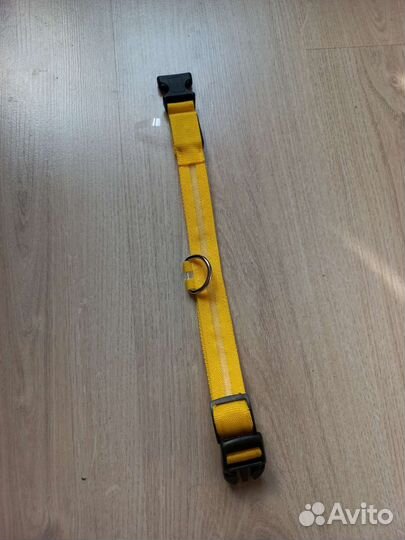 Ошейник для собак светящийся