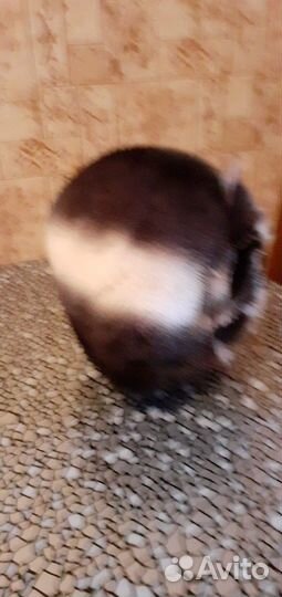 Норковая шапка женская