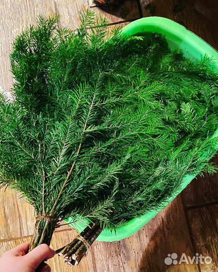 Веники пихтовые от производителя