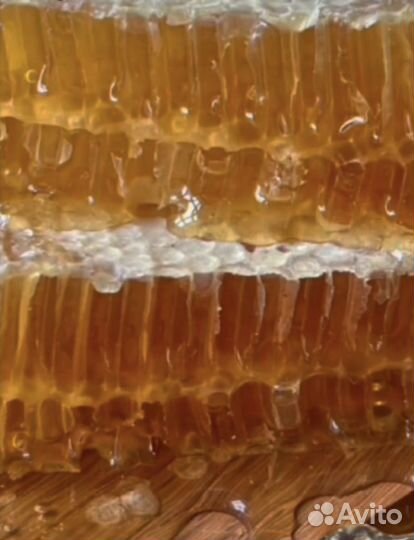 Мед/Продукты пчеловодства