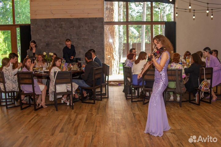 Скрипка на праздник