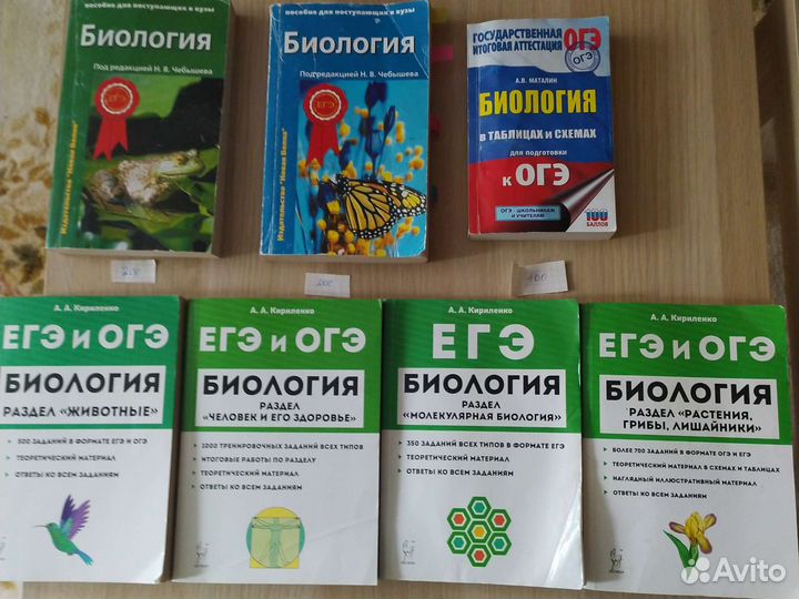 Егэ огэ Кириленко Чебышева Маталин Новошинская