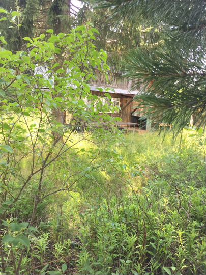 Дача 40 м² на участке 15 сот.