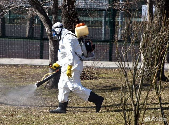 Акарицидная обработка