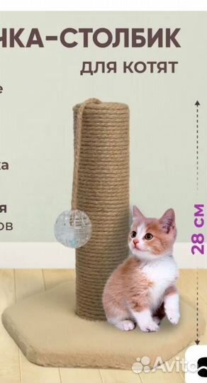 Лоток для кошек