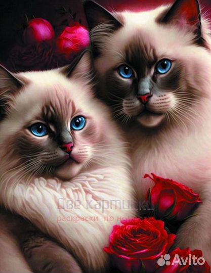 Алмазная мозаика 40x50 Кот с кошечкой и красные ро