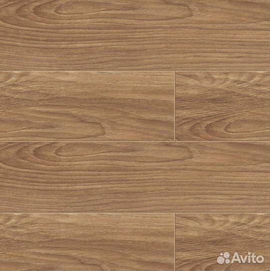 Паркет / Паркетная доска дуб клеевая