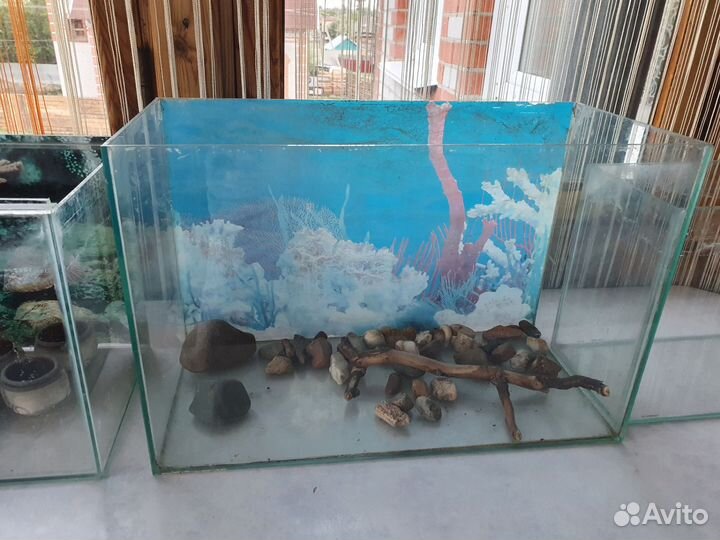 Аквариум