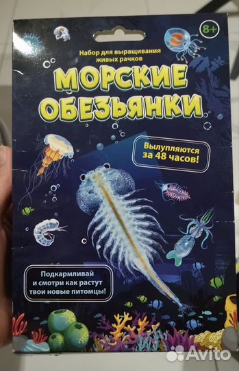 Морские Обезьянки