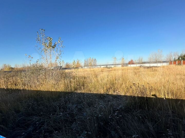 Участок 11,5 сот. (ИЖС)