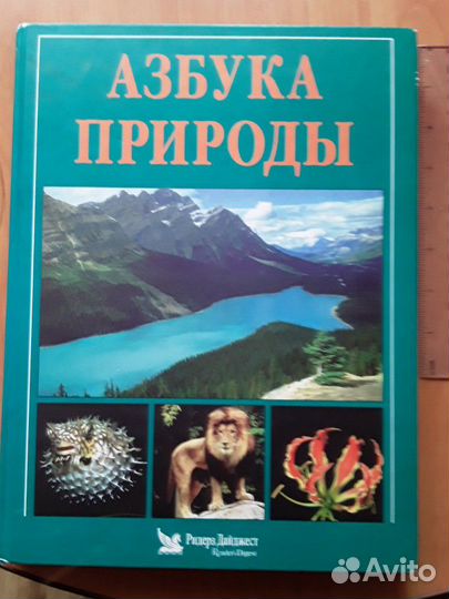 Энциклопедия