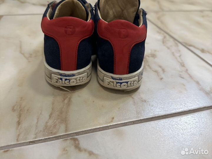 Falcotto 24